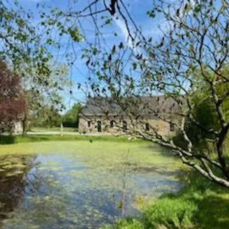 Maison De Famille 10 Pers, Piscine Chauffee, Grand Jardin, Proche Le Mans - Fr-1-410-433 *